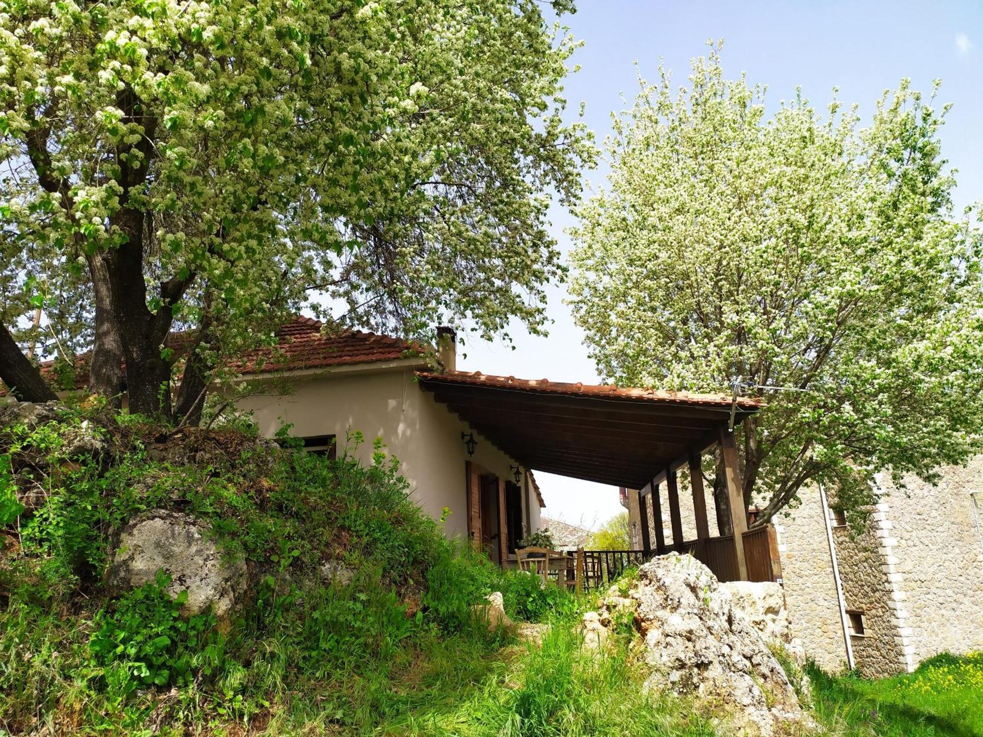 Μικρή Ζήρεια Ενοικιαζόμενη Κατοικία Synikia Mesi Trikalon Exterior photo